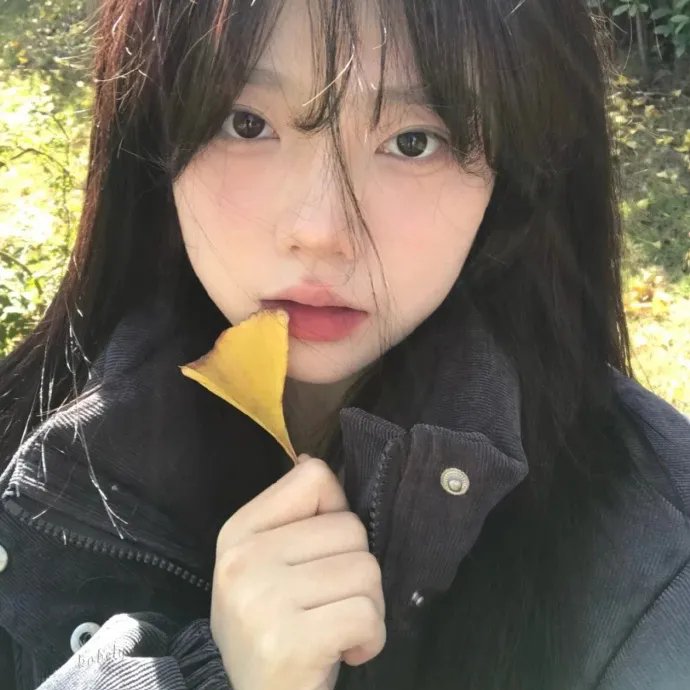 角落里的阳光