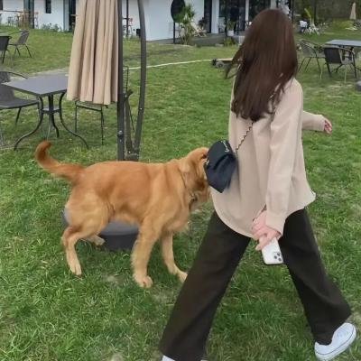 撒谎者雅各布